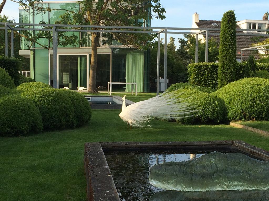 H-House Architectural Residence Maastricht Bilik gambar